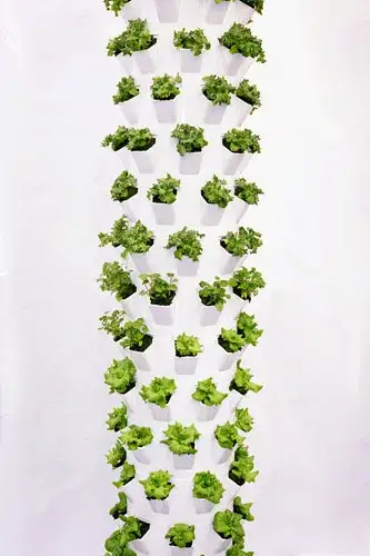 Jardin Vertical